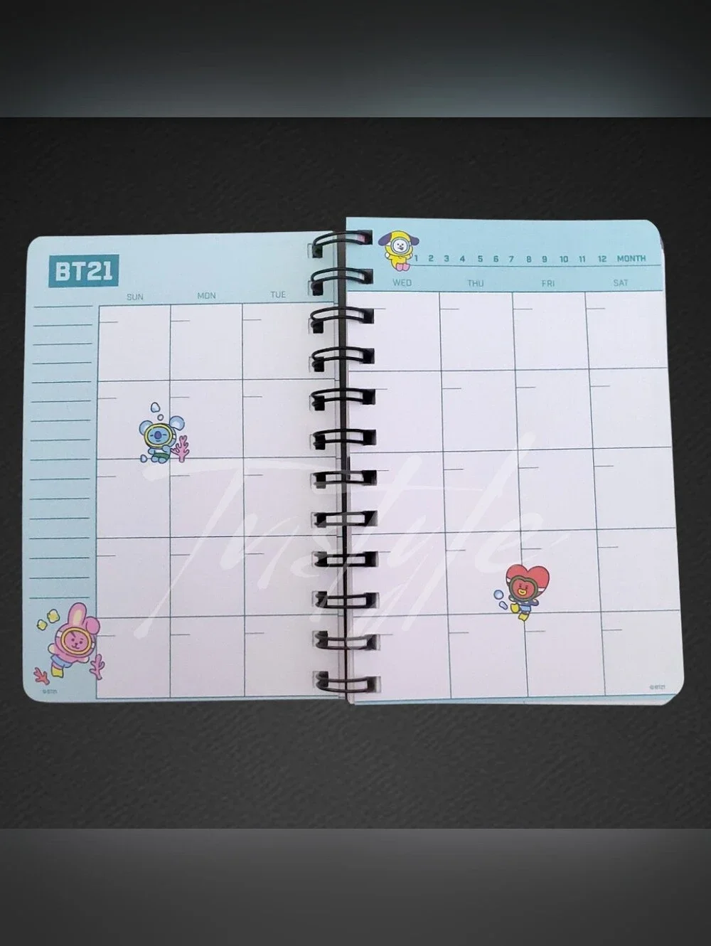 BT21 Undated Monthly/Weekly Planner